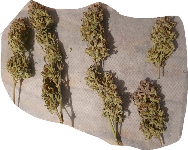 Growreport Bild 24