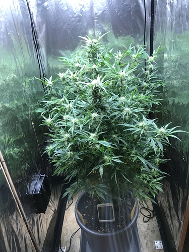 Growreport Bild 10