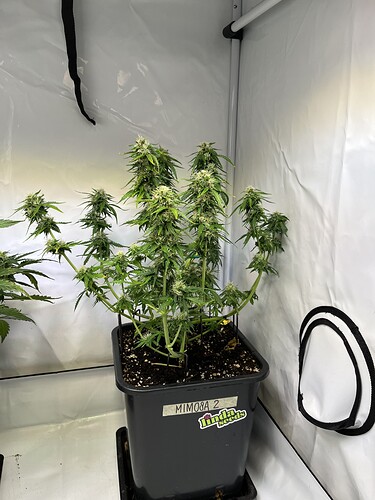 Growreport Bild 11