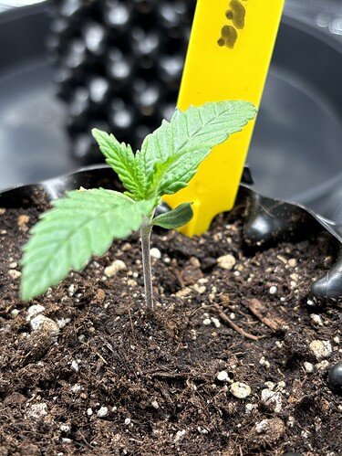 Growreport Bild 8