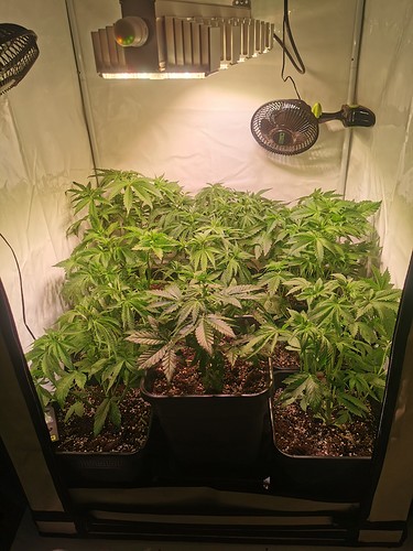 Growreport Bild 2