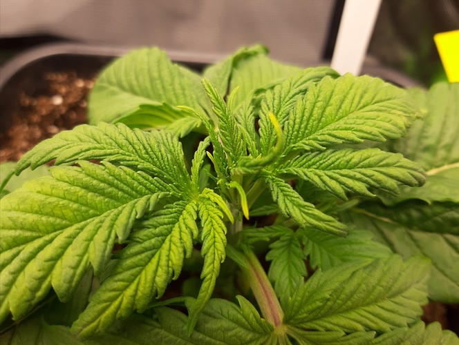 Growreport Bild 7
