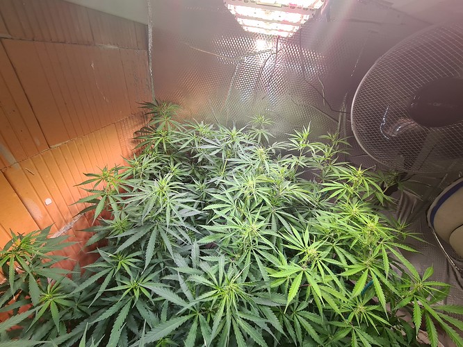 Growreport Bild 13
