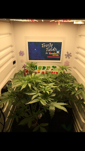 Growreport Bild 13