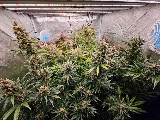 Growreport Bild 28