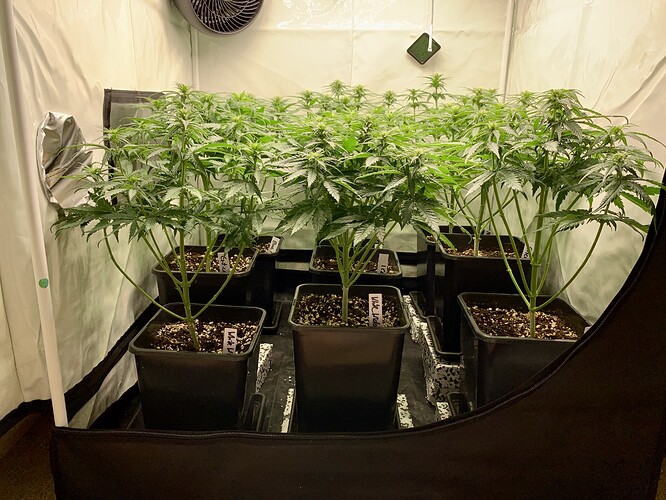 Growreport Bild 5