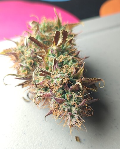 Growreport Bild 11