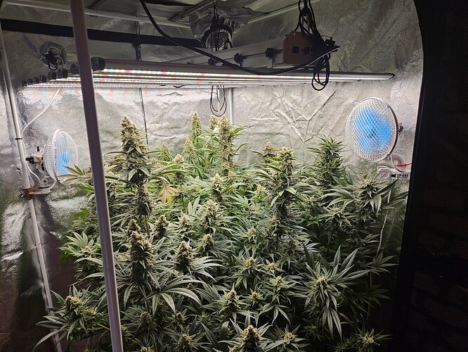 Growreport Bild 33