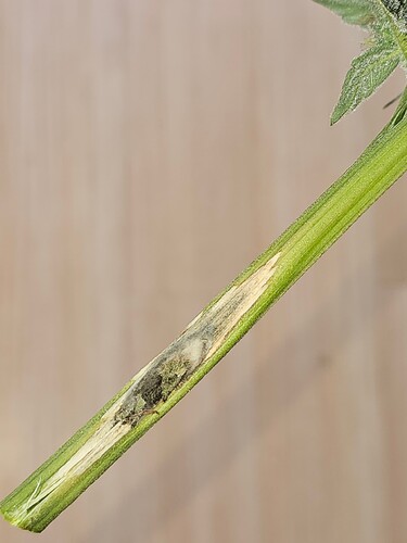 Growreport Bild 24