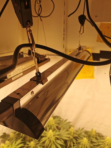 Growreport Bild 3