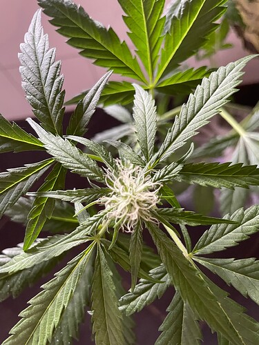 Growreport Bild 12