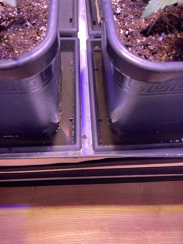 Growreport Bild 13