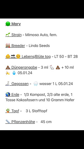 Growreport Bild 11