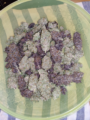 Growreport Bild 38