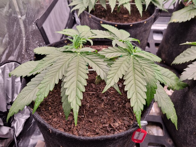 Growreport Bild 10