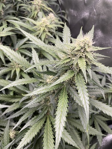 20211108_181707407_iOS