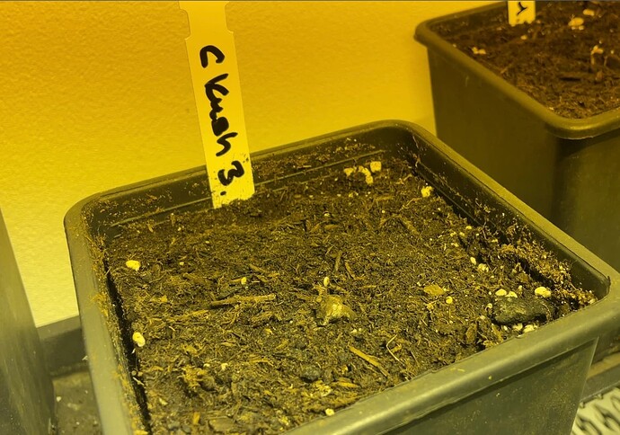 Growreport Bild 21