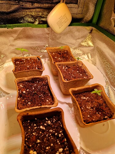 Growreport Bild 8