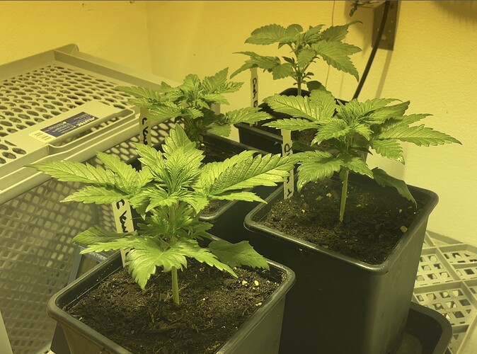 Growreport Bild 10