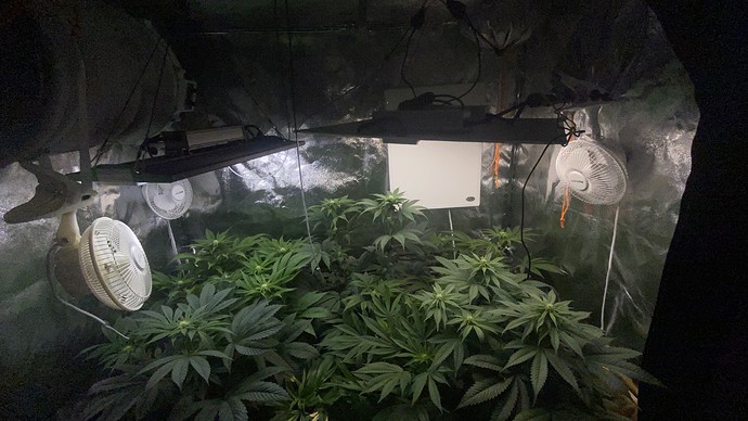 Growreport Bild 4