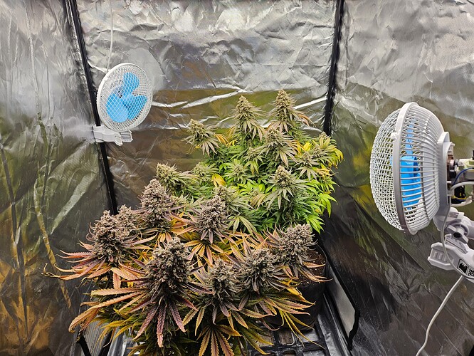 Growreport Bild 25
