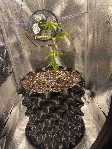 Growreport Bild 5