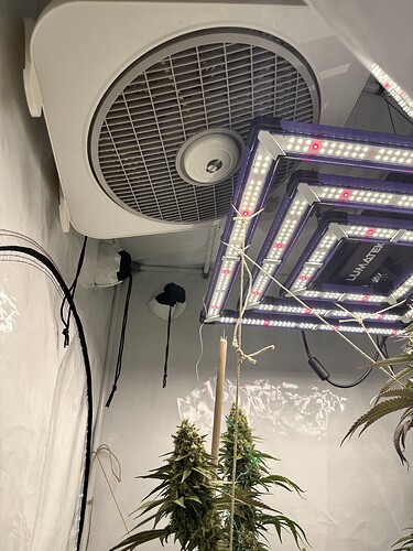 Growreport Bild 1