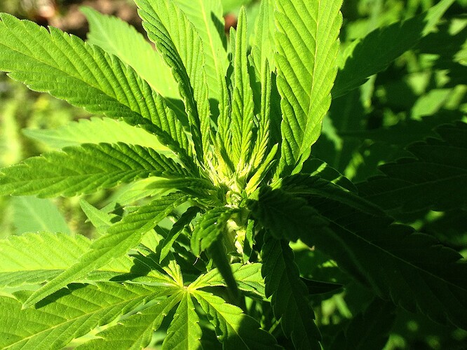 Growreport Bild 11