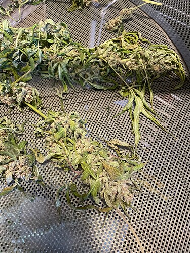 Growreport Bild 7