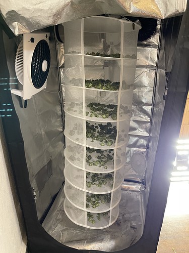 Growreport Bild 54