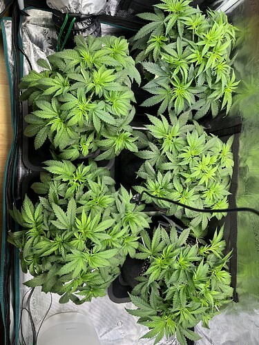 Growreport Bild 14