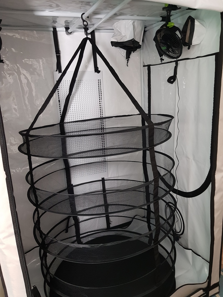 2020: Outdoor Töpfe im Garten - Erster Versuch ever⁸ - Outdoor - Forum