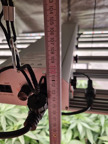 Growreport Bild 19