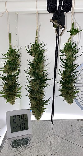 Growreport Bild 4