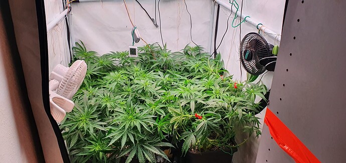 Growreport Bild 3