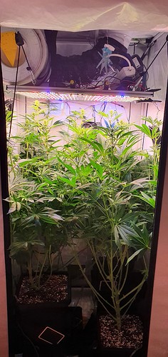 Growreport Bild 5