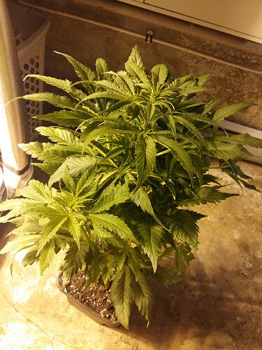 Growreport Bild 8