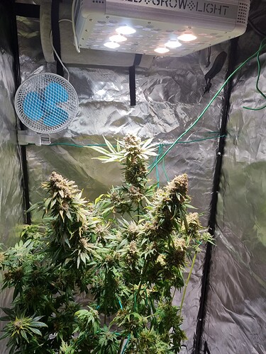 Growreport Bild 1