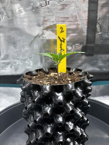 Growreport Bild 48