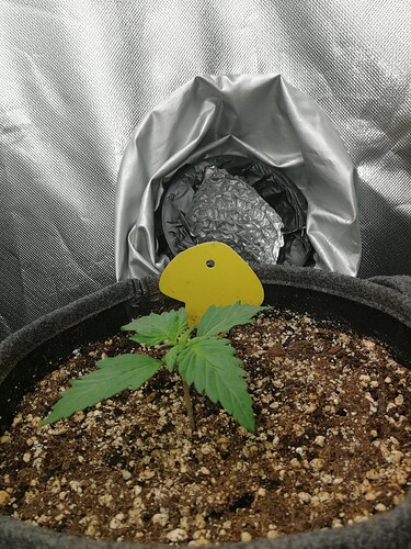 Growreport Bild 140