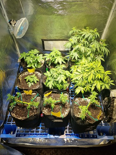 Growreport Bild 11