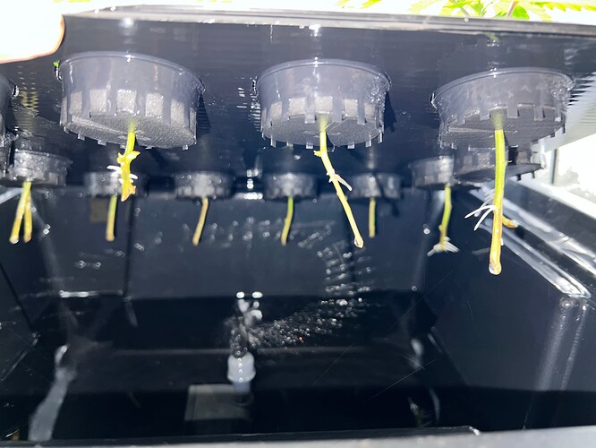 Growreport Bild 4
