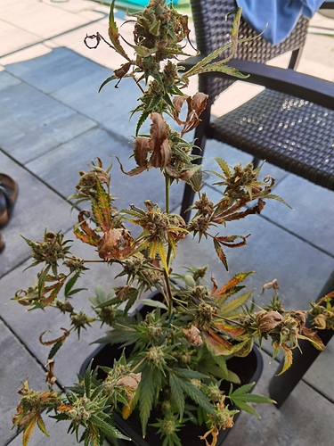 Growreport Bild 2