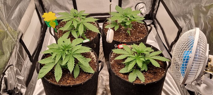 Growreport Bild 48