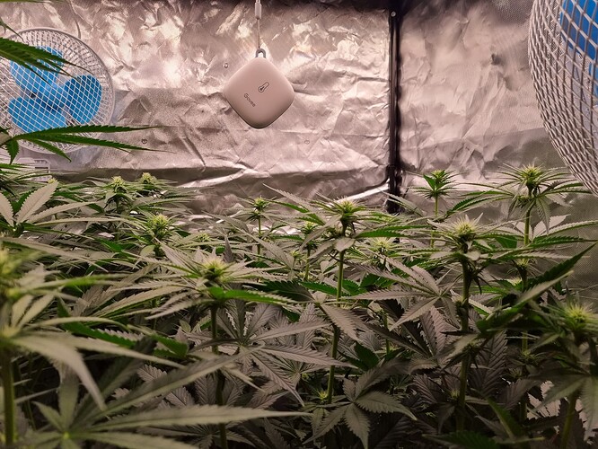 Growreport Bild 14