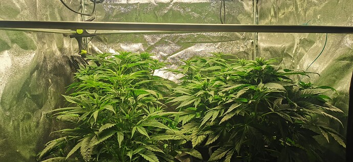Growreport Bild 12