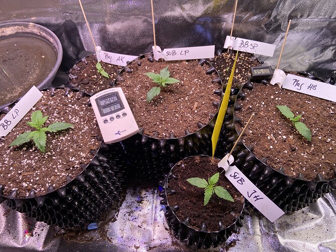 Growreport Bild 21