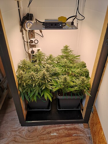 Growreport Bild 1