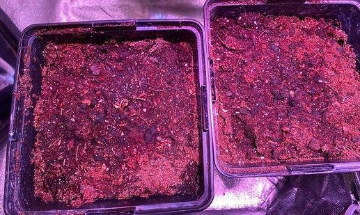 Growreport Bild 17