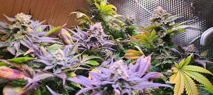 Growreport Bild 28